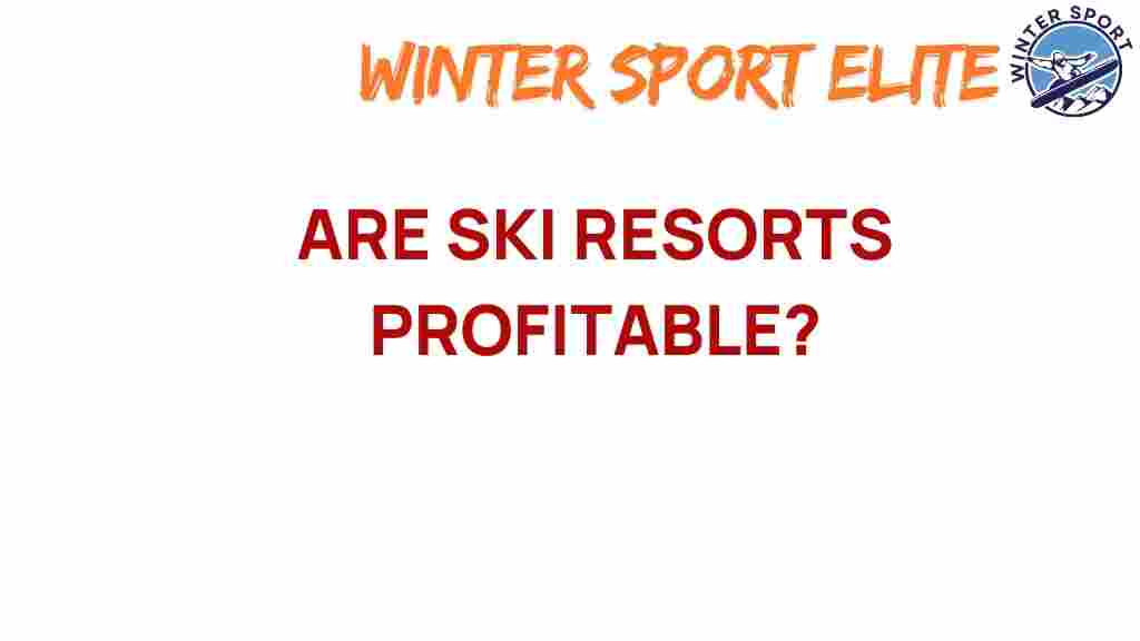 are-ski-resorts-profitable