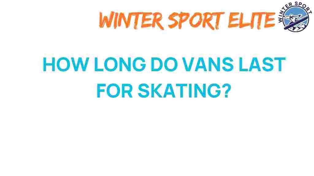 vans-lifespan-skate-shoes