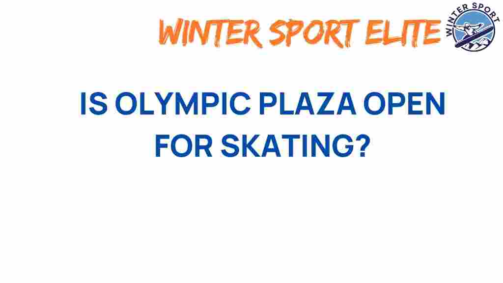 olympic-plaza-skating-updates
