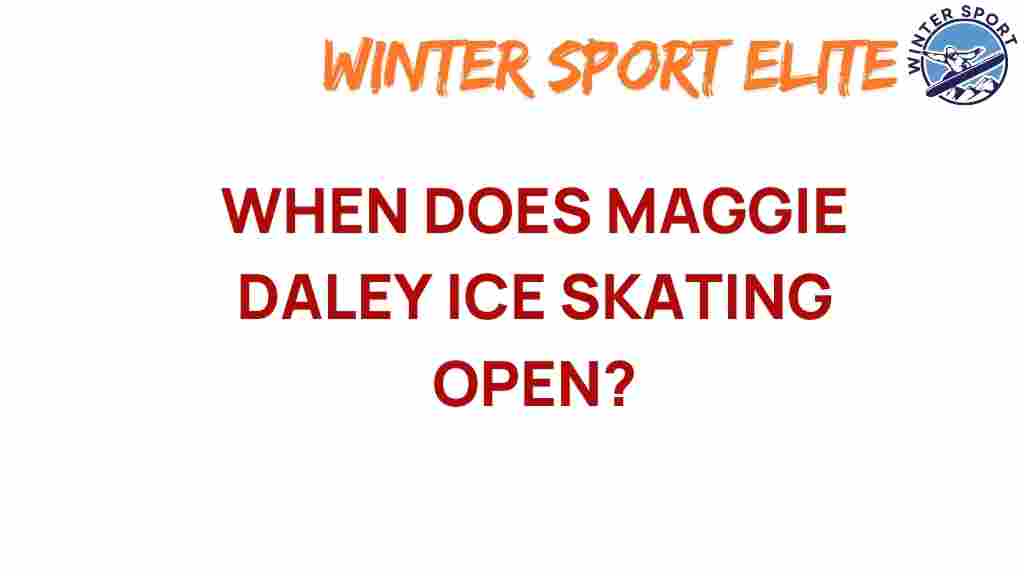 maggie-daley-ice-skating-opening